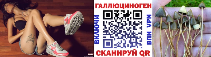 Галлюциногенные грибы Magic Shrooms  Знаменск 