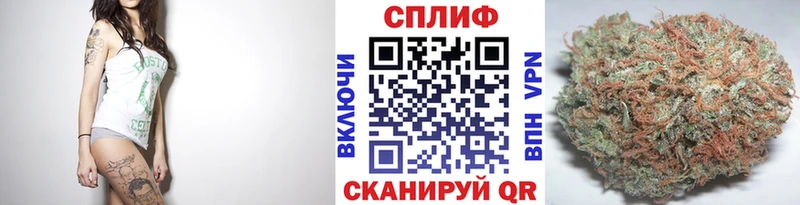Бошки Шишки OG Kush  купить закладку  Знаменск 